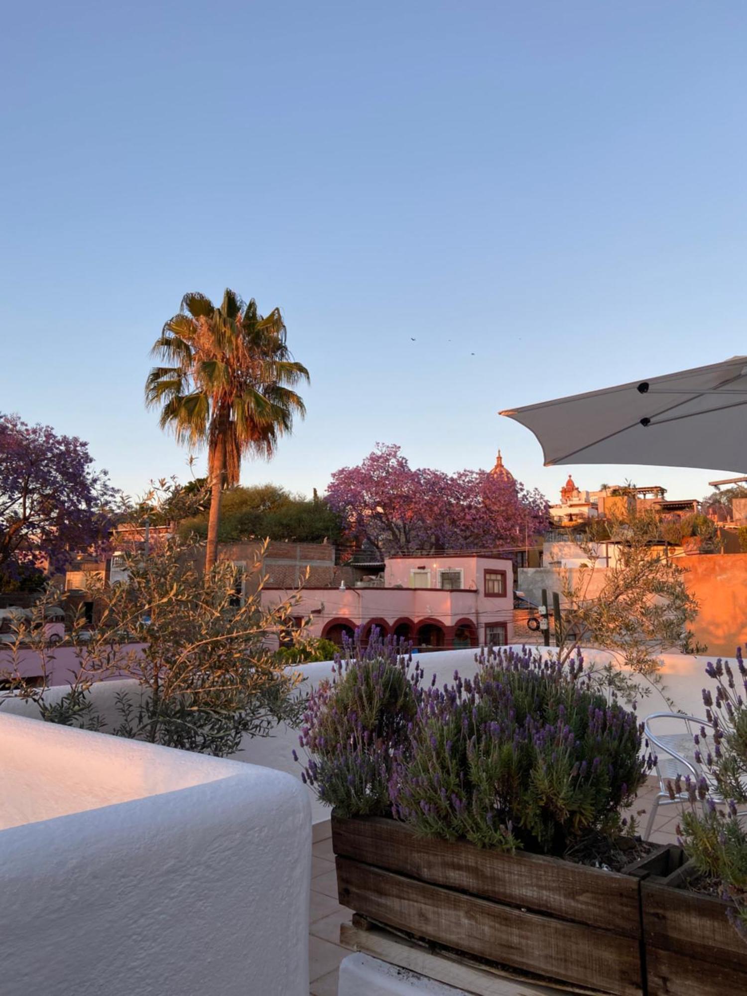 Casa Árbol Hotel San Miguel de Allende Exterior foto